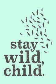 Best wild child quotes selected by thousands of our users! Stay Wild Child Lined Notebook 110 Pages Fun And Inspirational Quote On Light Green Matte Soft Cover 6x9 Journal For Women Men Boys Girls Teens Friends Family Journaling Writing Memes The Word