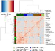 Colorectal adenoma to carcinoma progression is accompanied by changes in gene expression associated with ageing, chromosomal instability, and fatty acid metabolism. Tumour Associated And Non Tumour Associated Microbiota In Colorectal Cancer Gut