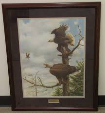 Maybe you would like to learn more about one of these? Bald Eagle Osprey Friends Of Horicon Marsh