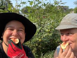 Fundraiser by Neighborhood Gardens Trust : Help Save Werner's Community  Garden