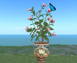 Check spelling or type a new query. Second Life Marketplace Large Hibiscus In Clay Pot Pinkish Flowers Blue Butterfly
