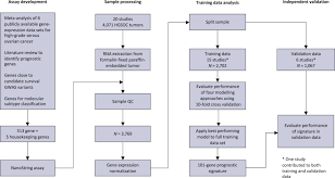 Prognostic Gene Expression Signature For High Grade Serous Ovarian Cancer Annals Of Oncology