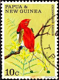 Papua New Guinea Bird Of Paradise Drawing Pin On Birds On Stamps
