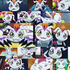 Gomamon is the partner of kido jo. Gomamon Digimon Adventure Digimon Digimon Adventure Tri