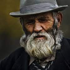 The Old Man With Beard Fall Style Old Man Portrait Old Man With Beard Portrait