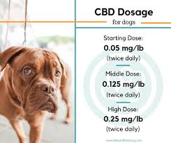 how much cbd oil should i give my dog cbd dosage chart