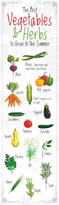 The vegetables sown in summer are then cultivated. Guide To Planting Summer Vegetables And Herbs