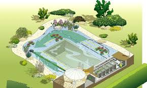 Alles Uber Schwimmteiche Schwimmteich Teich Naturschwimmbecken