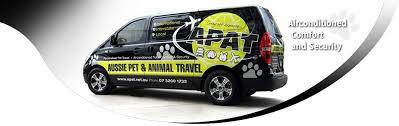 Pet transport australia, we cover everything you need to know in this article on how to ship your the main companies that came up when we asked on our facebook page what pet shipping pets travelling commercial. Pet Travel Brisbane Australia Dog Transport Crates Pet Carriers Apat Breeding Services