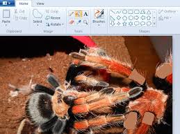 How To Colour A Part Of An Image Without Ruining The First One In Microsoft Paint Microsoft Paint Painting Computer Animation