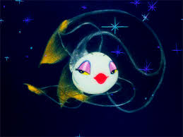 Https Encrypted Tbn0 Gstatic Com Images Q Tbn And9gcqbuy2axmmgwkiyyhqddymzg9bhganceazgjw Usqp Cau