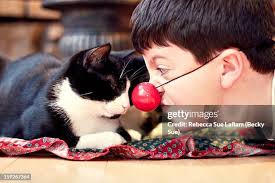 2,112 Becky Black Stock Photos, High-Res Pictures, and Images