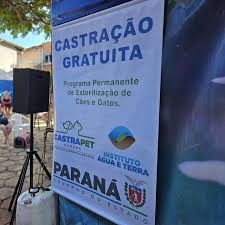 CastraPet realiza mais de 400 castrações gratuitas em Rolândia
