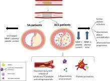 Table of Contents page: Thrombosis Research