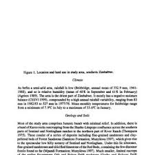 Image result for Nesaea passerinoides