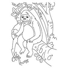 Did you know that this page is part of my colouring book doodles from the den? Top 10 Sloth Coloring Pages For Your Toddler