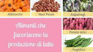 La quantità di latte per pasto, così come la durata stessa del pasto, non hanno quindi particolare interesse. La Galega La Pianta Dell Allattamento Gruppo Pediatrica