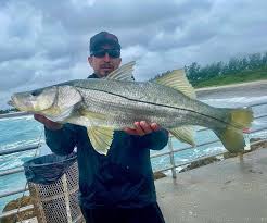 Bridges can also be a. Florida Today Fishing Report Snook Harvest Ends Snapper Bite Is On
