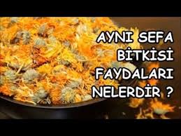 Ayni Sefa Bitkisinin Faydalari Nelerdir Youtube Gida Bitki Saglikli