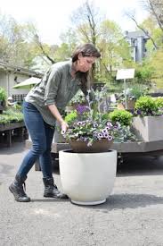 Hours may change under current circumstances Mcardle S Florist Garden Center 48 Arch St Greenwich Ct Florists Mapquest