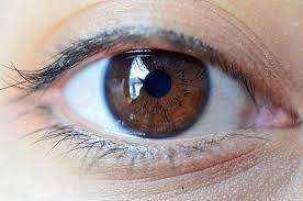 The World S Population By Eye Color Light Blue Eyes Brown Eyes Aesthetic Eye Color