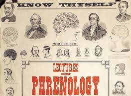 When Phrenology Was A Legit Science History Daily