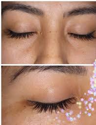 Bar de Cejas y Pestañas Carol