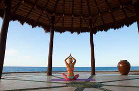 Maybe you would like to learn more about one of these? How To Plan The Perfect Cabo San Lucas Wellness Retreat Waldorf Astoria Los Cabos Pedregal Blog