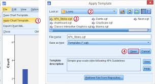 Spss Chart Templates Dw Faisalabad