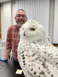 Image result for Robin Egg Blue 1983 Hussmann