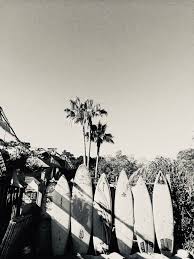 Aesthetic Black And White Pictures Beach Surf Boards In 2020 Black And White Picture Wall White Aesthetic Photography Black And White Aesthetic