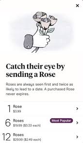 I Was Shadowbanned:' How Hinge'S Algorithm Decides Who You Date
