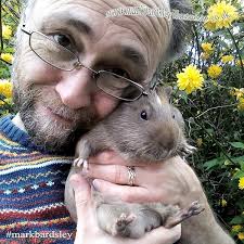 A Midsummer's Ice Cream and other poems eBook : Williams, Stephen, Bardsley,  Mark : Amazon.co.uk: Kindle Store