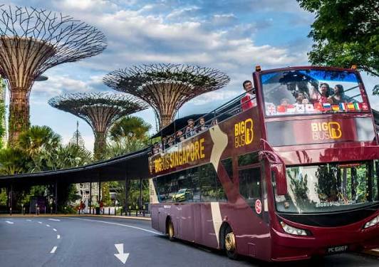 Big Bus Tours Singapore | Singapore Hop on, Hop off Bus Tours