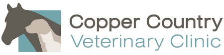 Meet The Team Copper Country Veterinary Clinic