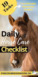Happy Horse Daily Care Checklist Horse Care Healthy Horses Horse Riding Tips