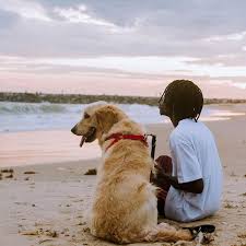 Laughter, tears & goosebumps par : Fireboy Vibration Instrumental Mp3 Download Instrumental Download