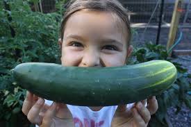 Somerset Hills YMCA's Giving Garden Takes Root