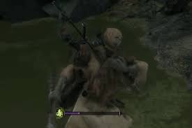 Snake Eyes Shirahagi Sekiro Boss Guide Polygon