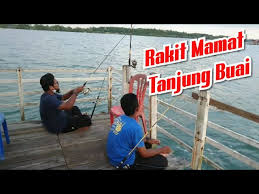 Bagan lalang became one of our favourite public beaches around selangor. Download Siakap 5 3kg Rumah Rakit Bagan Lalang Sepang Part 2 Mp3 Mp4 3gp Flv Download Lagu Mp3 Gratis