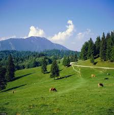 Totodata, ea afirmat ca printul charles va ramane in romania pana vineri. How You Can Stay At Prince Charles 122 A Night Transylvanian Farmhouses Daily Mail Online