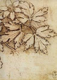 Pin On Leonardo Da Vinci