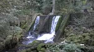Centri za posetioce izletišta i vidikovci smeštaj lov ribolov planinarenje biciklizam.;lovišta; Die Top Sehenswurdigkeiten In Tara National Park 2021 Mit Fotos Tripadvisor