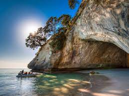 Not being able to cove or sit upon them eggs, she the female tortoise bestoweth them in the gravel. Sehenswurdigkeiten Aktivitaten In New Zealand Cathedral Cove In Neueeland
