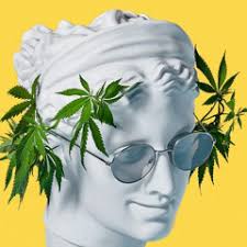 Stream tyler haggart music