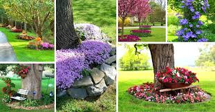 When compost, soil, and mulch are piled up thick around a tree, it suffocates the roots and allows no oxygen to get to them. 22 Beautiful Flower Beds Around Trees Decor Home Ideas