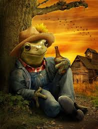 Farmer Frog By Ravenscar45 Deviantart Com Frog Pictures Frog Illustration Frog Art