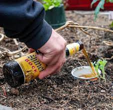 Spray the solution on the pests and in areas where you see them. How To Get Rid Of Pill Bugs Growing Spaces Greenhouses