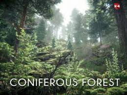Using apkpure app to upgrade the forest, fast, free and save your internet data. Coniferous Forest Free Download Unity Asset Collection