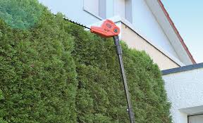 Wird auf eine solche verzichtet, kann es vor allem für anfänger sehr schwierig sein, die hecke gerade zu schneiden. Hecke Schneiden Selbst De